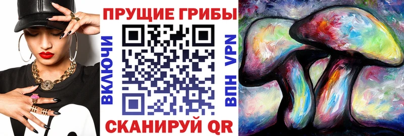 блэк спрут маркетплейс  Белебей  Галлюциногенные грибы GOLDEN TEACHER  мориарти клад  купить наркотики сайты 