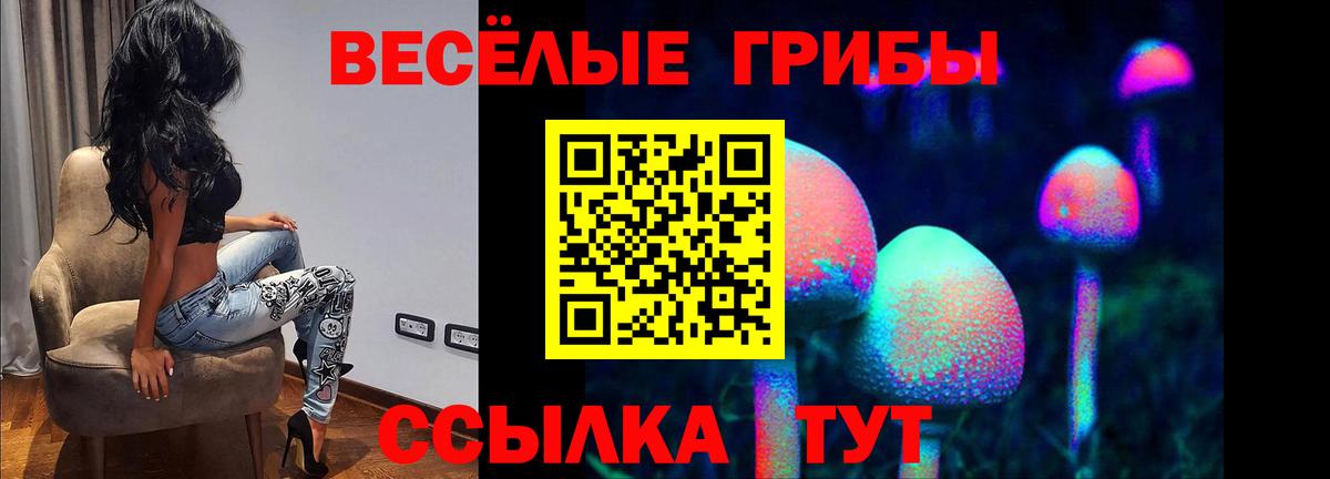 Псилоцибиновые грибы MAGIC MUSHROOMS Белебей